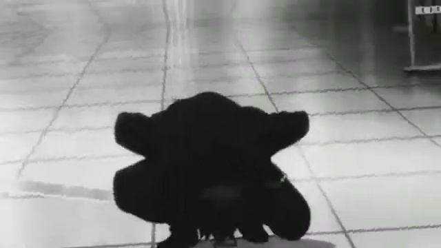 Я люблю тебя и не навижу *АнИмЕ клип*