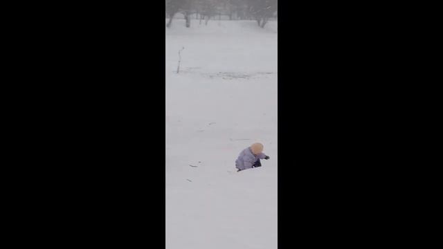 ОЙ  СНЕГ -  СНЕЖОК...
