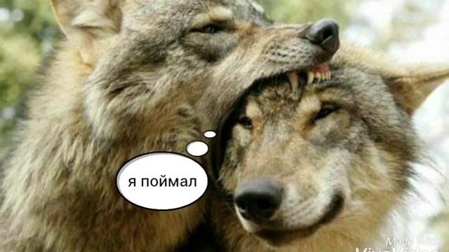Комикс жизнь продолжение