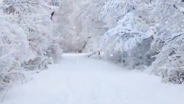 Песенка про мамонтов!😂Ржач