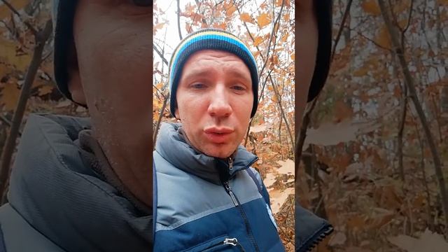 СК Беларуси: никто не виноват он сам! #беларусь #бчб