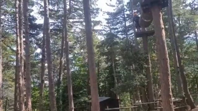 смеялись до слёз. Цирк отдыхает. Смотреть до конца🤣