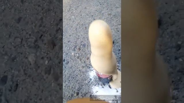 Кола +Сода что будет ?
