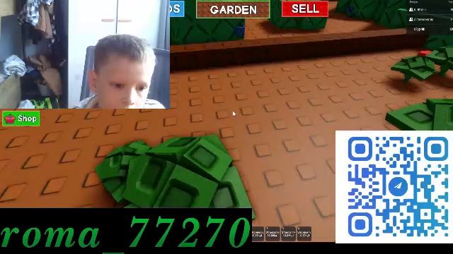 Roblox