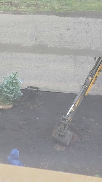 Благоустройство 🌻
