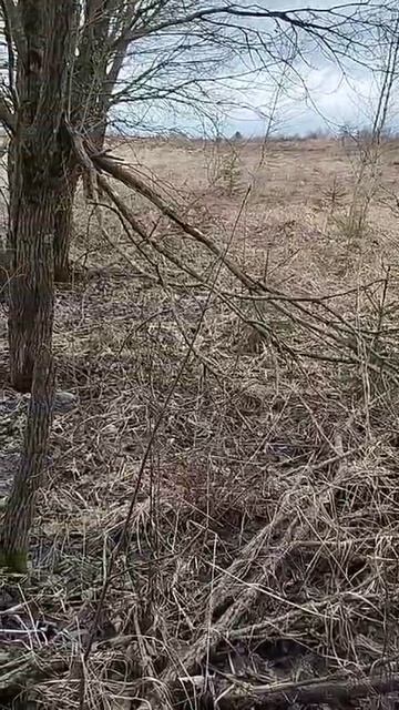 д. Бурцево 50-18-0080104-998