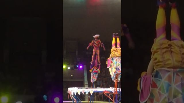 Цирк.Воронеж. Акробаты Грушевы