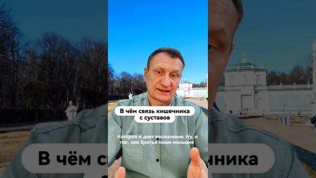 В чем  связь кишечника и суставов