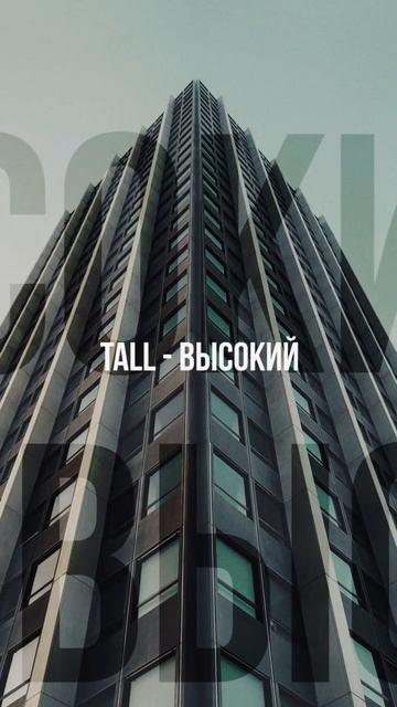 Слова на букву T