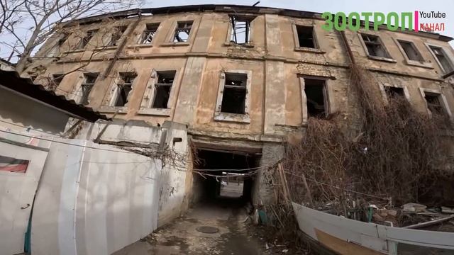 Одесса жилой двор! Полный трэш. Пересыпь. Черноморского казачества. Обрушение дома сегодня. #зоотро