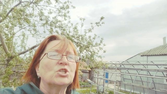 Н. Гумилёв Заблудившийся трамвай
