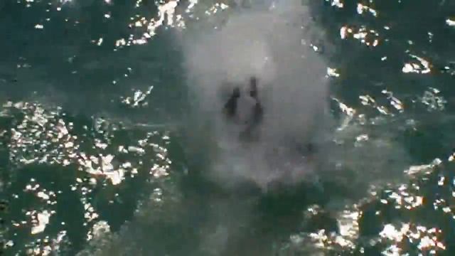 Приколы на море