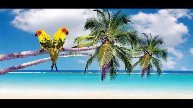 ЛУЧШИЕ ХИТЫ НЕДЕЛИ🎧Top 50 SHAZAM 🎧 Лучшая Музыка 2020 ❄️Зарубежные песни Хит🎧Популярные Песни #13