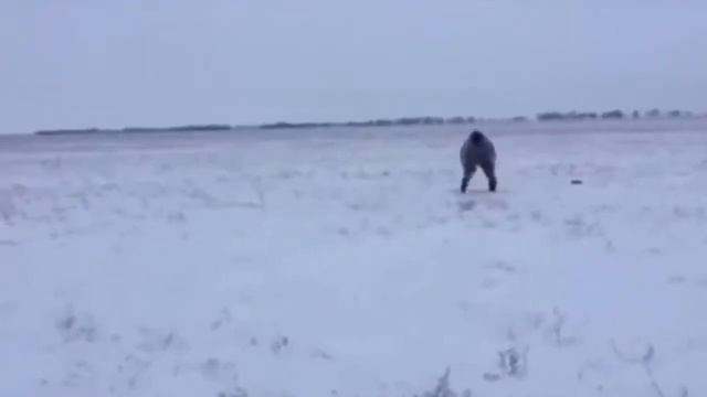 СМЕШНЫЕ СЛУЧАИ НА ОХОТЕ / ПРИКОЛЫ НА ОХОТЕ