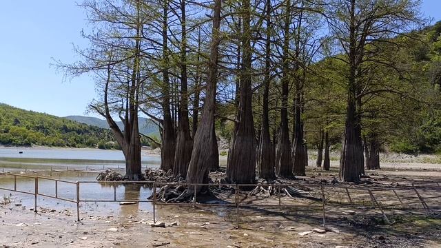 Кипарисовое озеро Сукко 29 апреля 2025 года