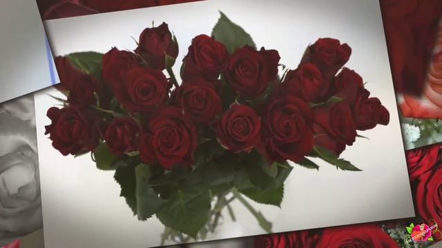 С Днём рождения, Аревик!