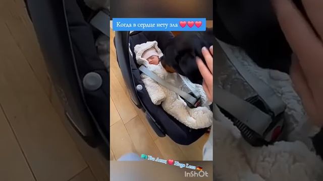 Когда в сердце нету зла
