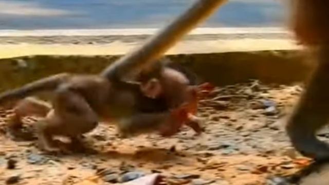 Унижайся  и проси, результат обязательно будет 1000002157.mp4