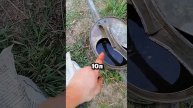 2 ложки и морковь будет по локоть #сад #огород #дача #рассада #урожай #морковь