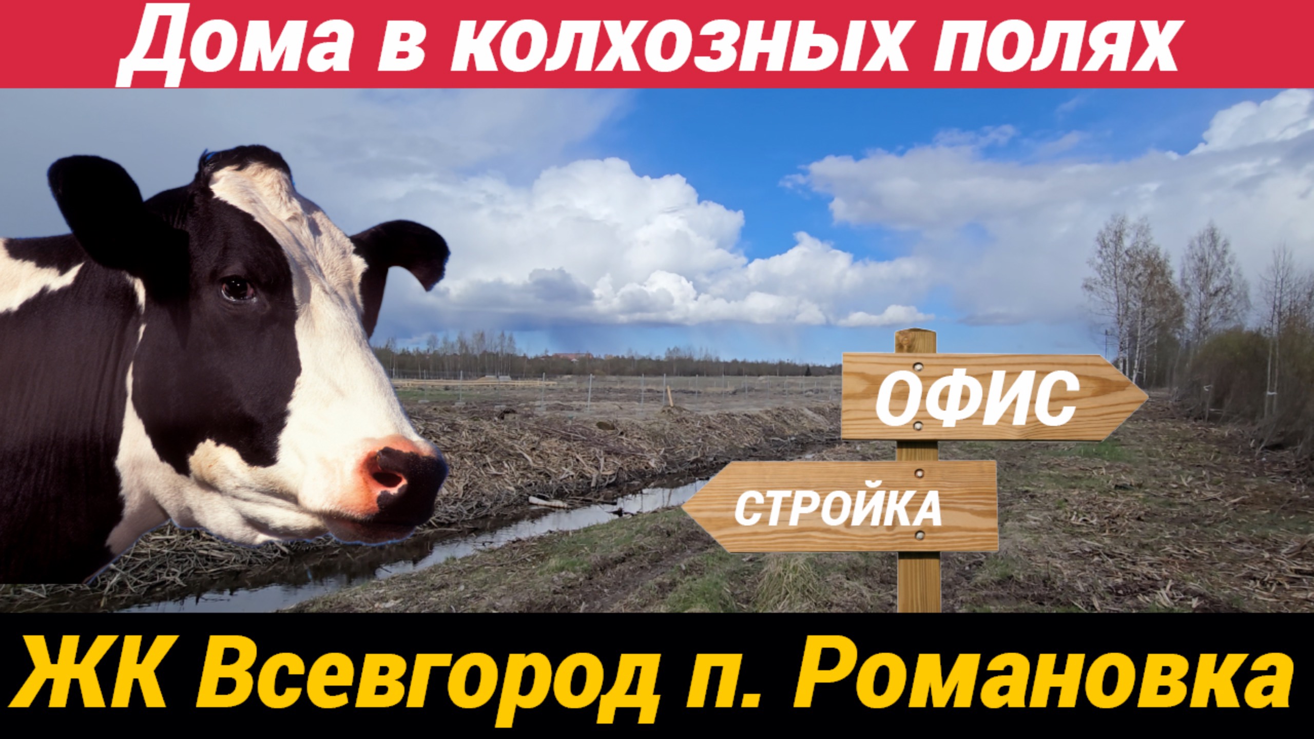 ЖК ВСЕВГОРОД | Современная жизнь у природы | Посёлок Романовка, Всеволожский район