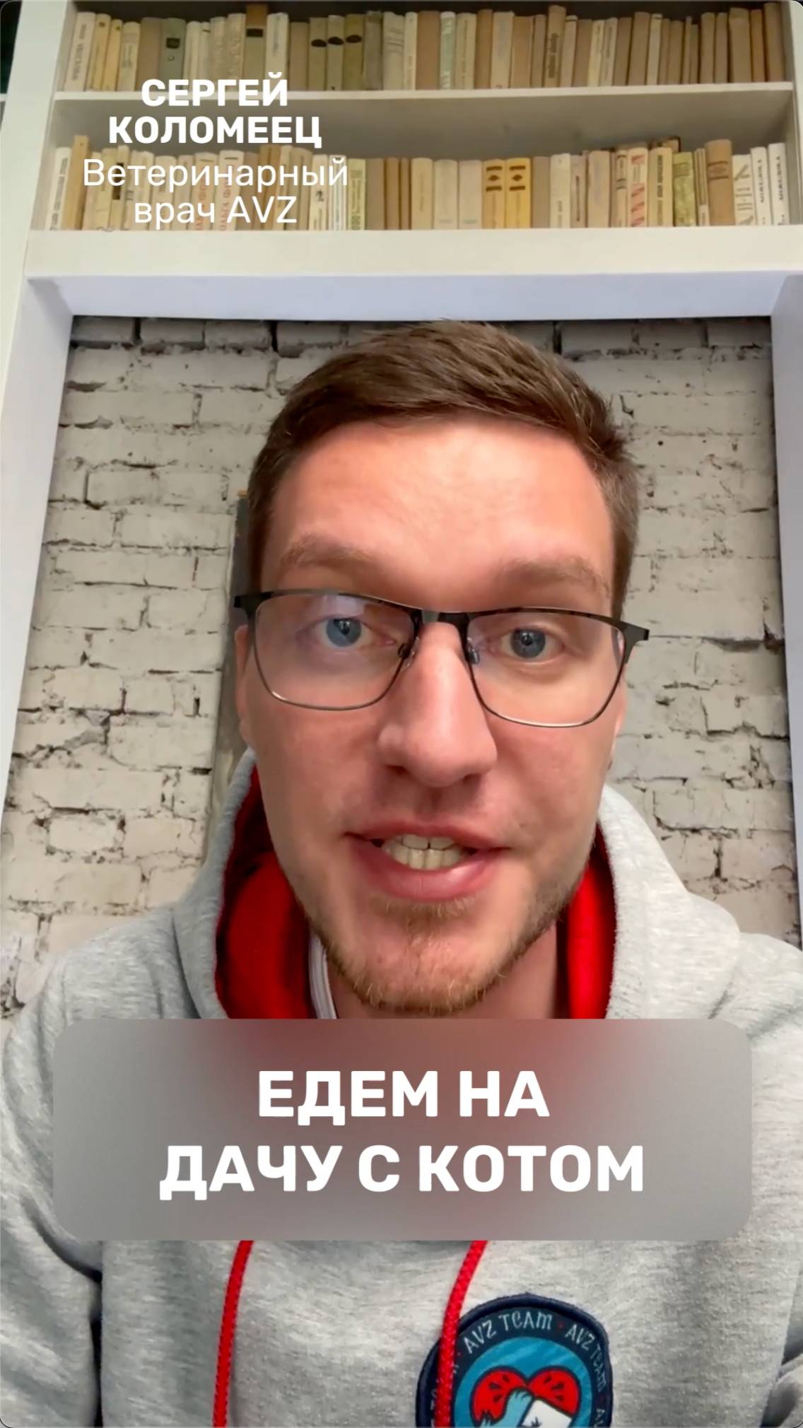 Едем на дачу с котом