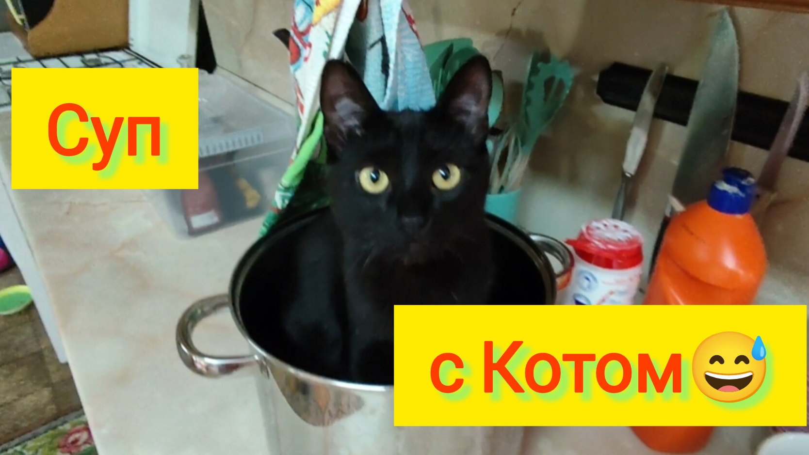 Переезд на ЮГ/Суп с КОТОМ/Уборка перед Пасхой/Наготовила/Наконец-то ЖАРА/Володя и Олег в Рошале