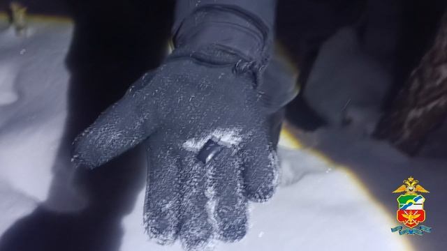 Жительница Новосибирска предстанет перед судом за незаконный оборот наркотиков