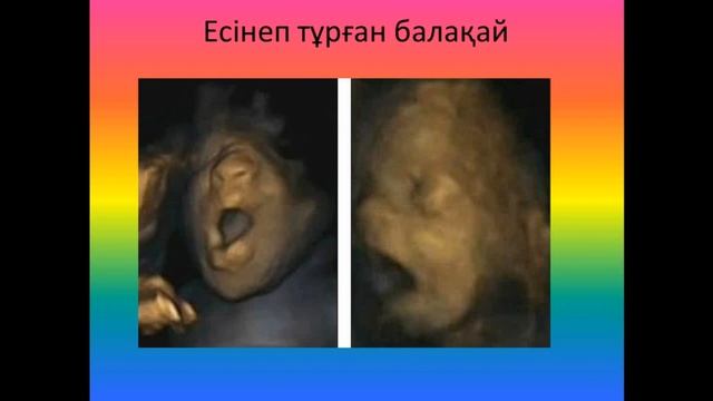 Құрсақтағы өмір