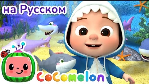 Baby Shark на русском | Мультики для детей  | CoComelon на русском 🦈