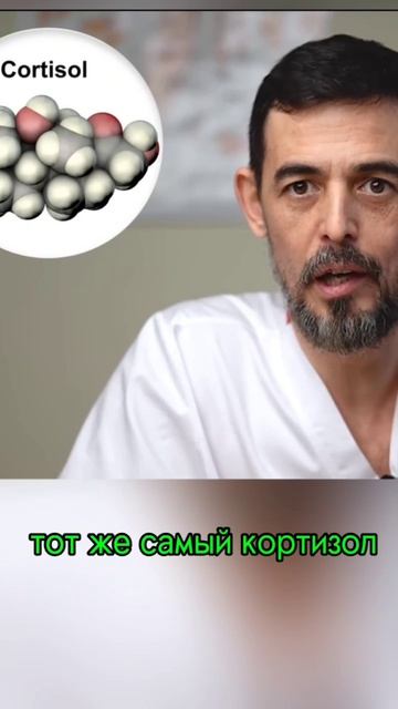 Лимфа и кортизол