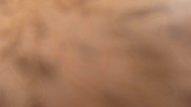 1000008980.mp4