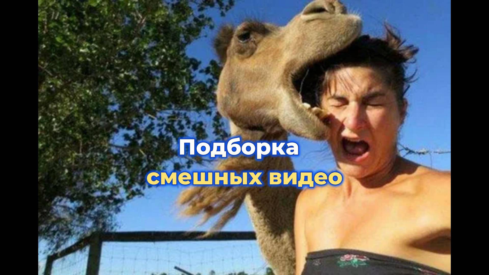 Смешные видео ролики.Подборка лучших приколов.Часть 3 Лучшие Лютые Приколы