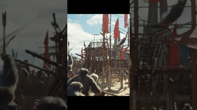 KINGDOM OF THE PLANET OF THE APES All Movie Clips (2024).mp4#shorts