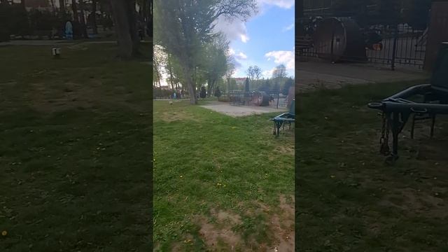 Видео марафон.
#марафон #злойповар  #хасанстан #самодисциплина
