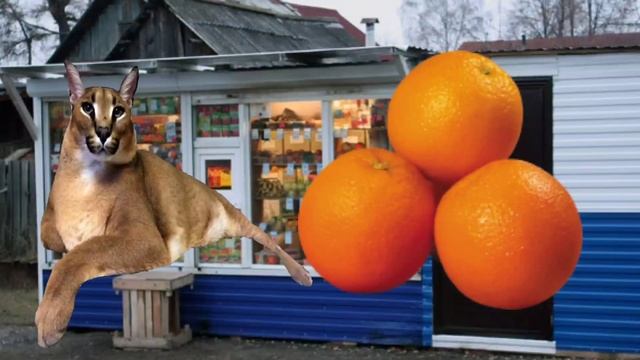 Шлёпа рекламирует магазин Панда