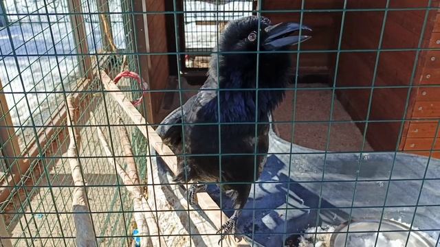 Ухта 17.04.2025 Детский парк.