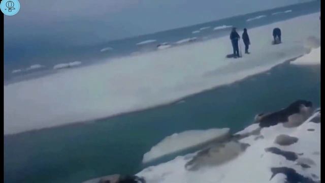 Улетная рыбалка видео 2021/Фейлы на рыбалке/Приколы на рыбалке 2021