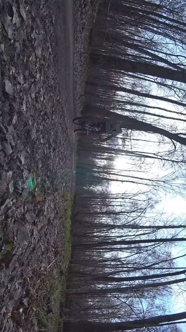 Daily Hobby Intro