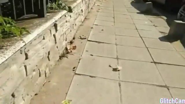 "Влог" БОЛГАРИЯ💖