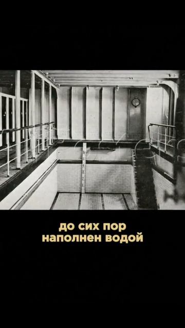 А вы знали ....🤣