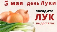 5 мая день Луки. Лук поможет избавиться от негатива и привлечь в дом достаток