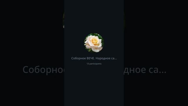 Видеоконференция делегатов Соборного ВЕЧЕ № 21  16.02.24.