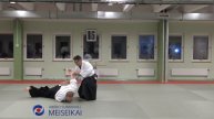 24 Aikido Ai Hanmi Nikyo "No Pain", Shishiya Sensei Malmö 2017