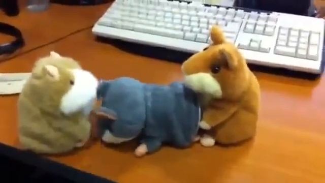 Приколы. Смешное Видео с Говорящими Хомяками (игрушки).
