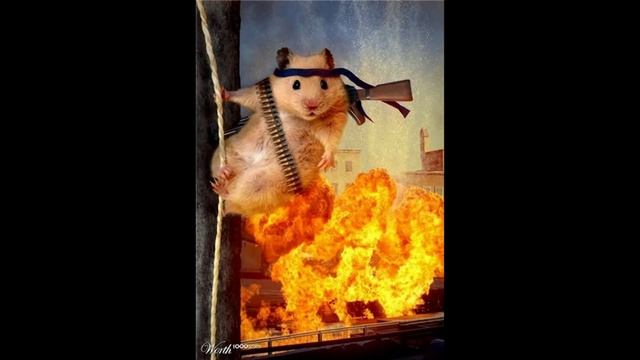 "МИЛЫЕ" ХОМЯКИ