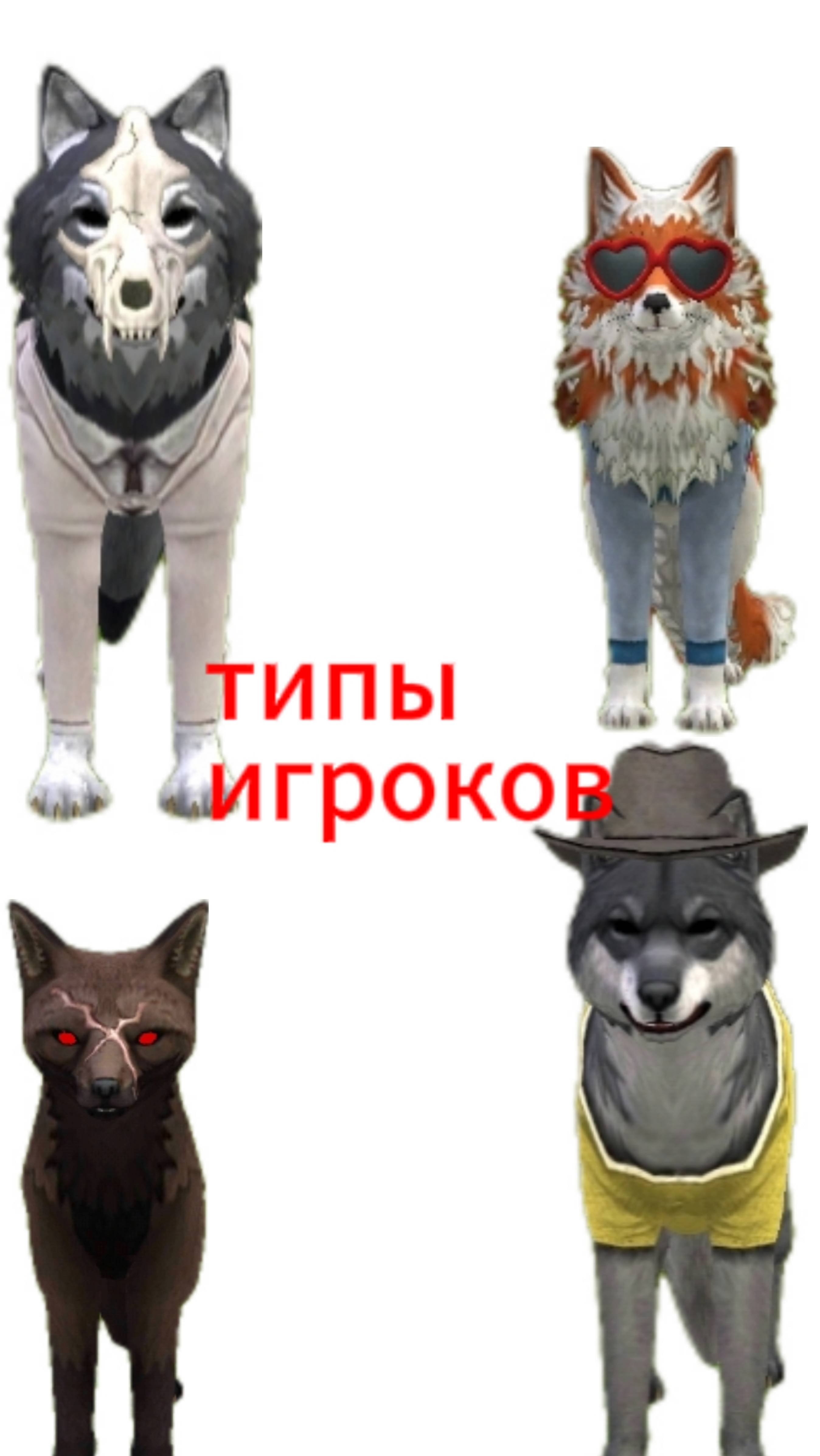 Типы Игроков WildCraft