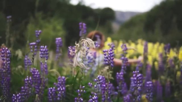 хиты 2020 лучшие песни 2020 новинки музыки 🌴 зарубежные песни хиты 🌴самые популярные песни 2020