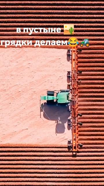 Делаем в пустыне грядки во прикол.😂🚜#пустыня #грядка #сх #бородовки