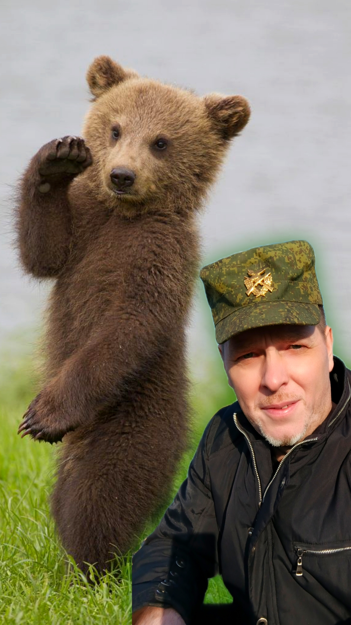 А Вы видели медвежат 🐻 в берлоге? маленькие медвежата в естественной среде обитания.