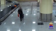 Столичные транспортные полицейские задержали похитителя багажа у пассажира самолёта